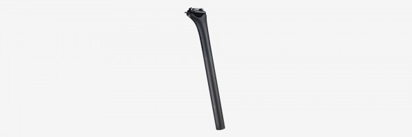 SPECIALIZED ALPINIST SEATPOST スペシャライズド アルピニスト シート 