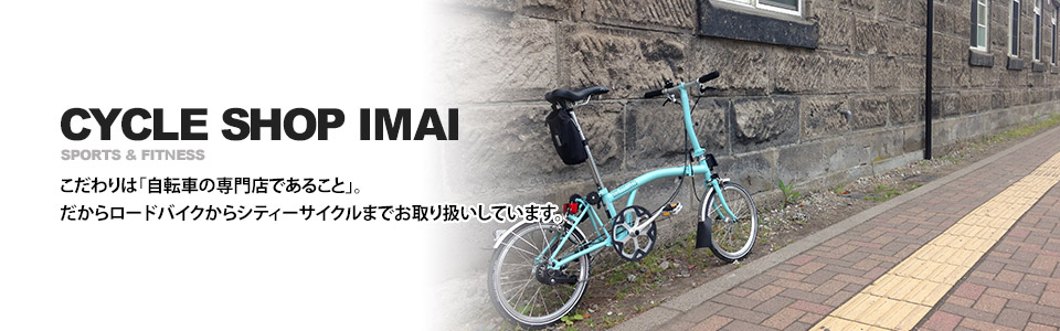 ブリヂストン アシスタ ファイン ミニ ピンク 前20×後18インチ