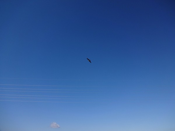 DSC01826